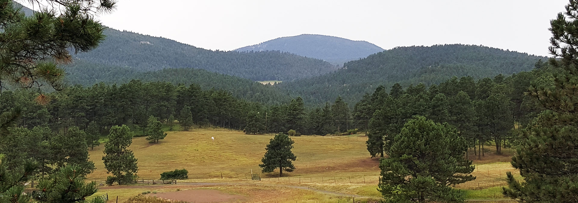 Peaceful Hill Yoga